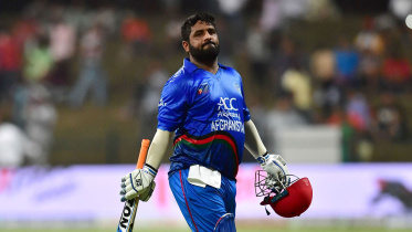 shahzad