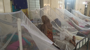 পটুয়াখালীতে বাড়ছে ডেঙ্গু রোগী, ১ দিনে হাসপাতালে ভর্তি ১৭