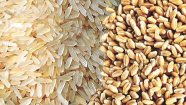 খাদ্য মন্ত্রণালয়, খাদ্য অধিদপ্তর, আ হ ম মুস্তফা কামাল, চাল, গম, এলএনজি,