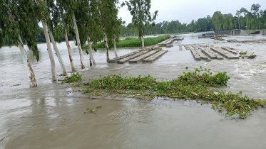 lalmonirhat_kurigram_flood-01.jpg