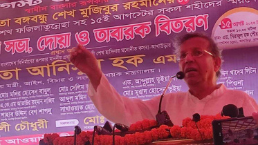 আনিসুল হক_n.jpg