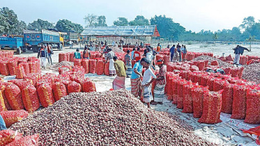 পেঁয়াজ
