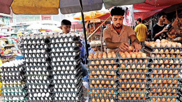 ডিম মুরগির দাম