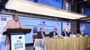 ইউরোপীয় ইউনিয়ন, ইইউ, চার্লস হোয়াইটলি, জিএসপি প্লাস, এলডিসি, শ্রম আইন,