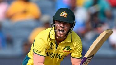 warner_wc.jpg