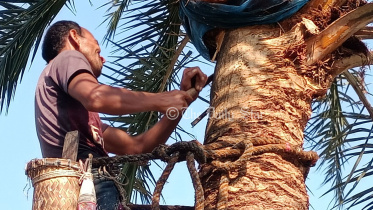 উত্তরে শীতের আমেজ, ঢাকায় আজ তাপমাত্রা সামান্য বাড়তে পারে