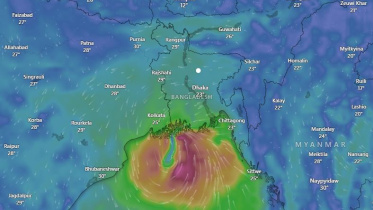 ঘূর্ণিঝড় মিধিলি