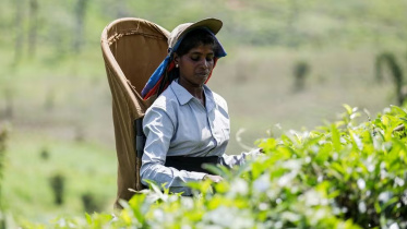 শ্রীলঙ্কা, ইসরায়েল,