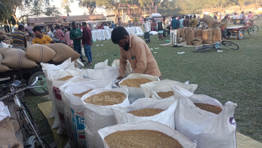 ধানের দাম