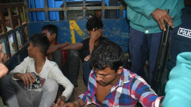 কুকুরের মাংসের বিরিয়ানি