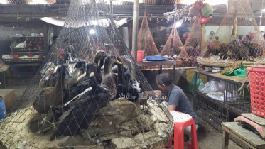 কাঁচাবাজারjpg