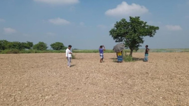 মালাম বিল 