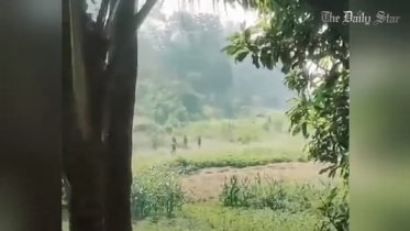 মিয়ানমারের ৬৮ সীমান্তরক্ষী বাংলাদেশে আশ্রয় নিয়েছে: বিজিবি