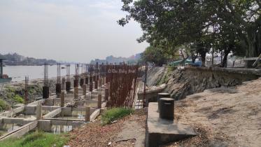 গাছ কাটা.jpg