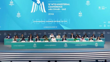 উন্নয়নশীল দেশ