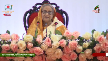 এই দেশে একজনের দোষ আরেক জনের ওপর চাপানোর প্রবণতা আছে: প্রধানমন্ত্রী