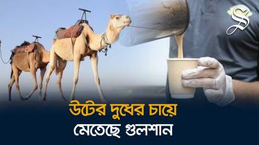 মধ্যরাতে গুলশানে জমে উঠছে উটের দুধের চায়ের দোকান