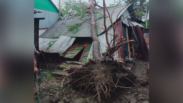 কালবৈশাখী ঝড়ে ব্রাহ্মণবাড়িয়ায় ঘরবাড়ি লণ্ডভণ্ড, আহত ১