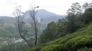 শ্রীলঙ্কা ভ্রমণ