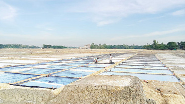 লবণ, লবণ চাষ, বাংলাদেশ ক্ষুদ্র ও কুটির শিল্প করপোরেশন, বিসিক,