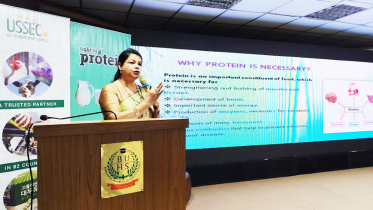 প্রোটিন, ডিম, দুধ, মাংস, ডক্টরস’ ডায়ালগ,