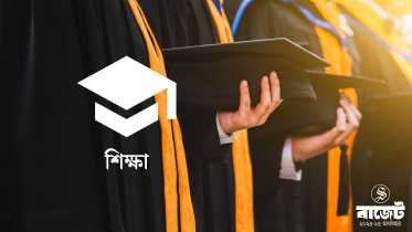 বিদ্যুৎ-জ্বালানি খাতে বরাদ্দ কমল