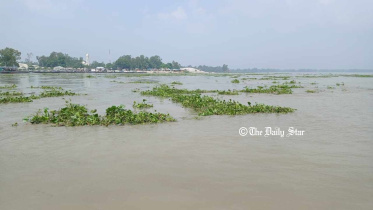 jamuna_river.jpg
