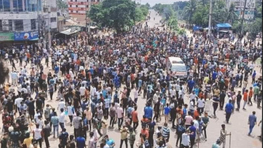 নরসিংদী, কোটা আন্দোলন, কোটা সংস্কার আন্দোলন,