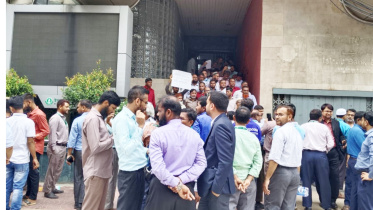 ইসলামী ব্যাংক, এস আলম গ্রুপ, শেখ হাসিনা,