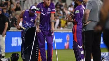 cricket.jpg