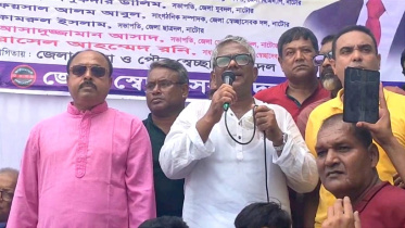 নাটোর দুলু