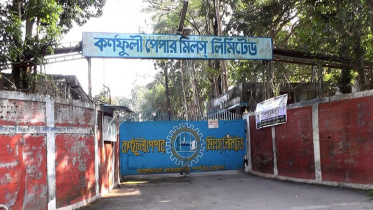 কর্ণফুলী পেপার মিল