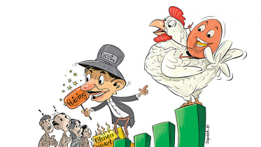 ডিম, ব্রয়লার মুরগি, ডিমের দাম, টিসিবি, কৃষি বিপণন অধিদপ্তর,