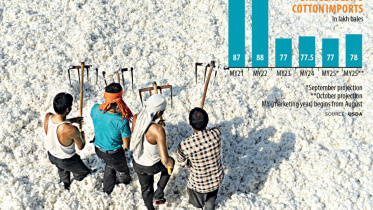 তুলা, তুলা আমদানি, মার্কিন কৃষি বিভাগ,