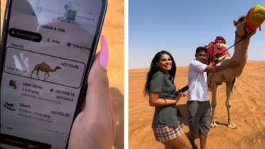 ‘উবার ক্যামেল’ বা উট অপশন খুঁজে পেয়ে বিস্মিত হন এই নারী। ছবি: ভিডিও থেকে স্ক্রিনশট