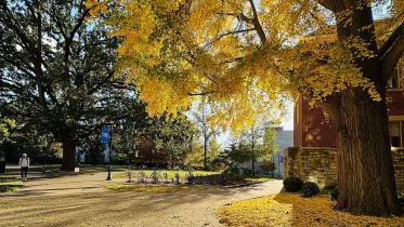 যুক্তরাষ্ট্র