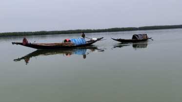 সুন্দরবন