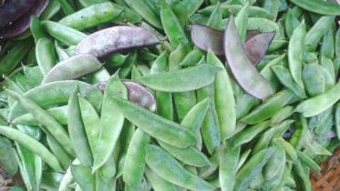 শিমের পুষ্টিগুণ