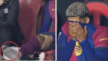araujo.png