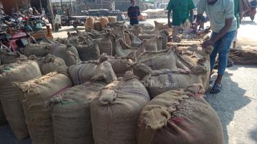 আমন সংগ্রহ