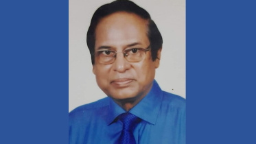 শিক্ষা মন্ত্রণালয়, অধ্যাপক এম আমিনুল ইসলাম,