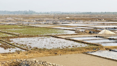 লবণ, লবণ চাষ, কক্সবাজার, পলিথিন,