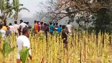 lalmonirhat_border_tension_29mar25.jpg