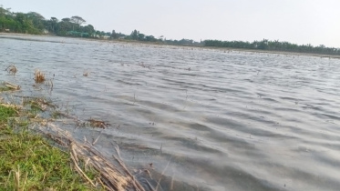 জোয়ারের পানি.jpg