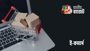 ২০২৫-২৬ বাজেটে অনলাইন কেনাকাটা
