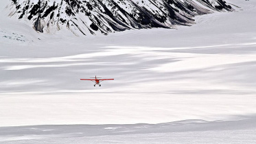 আলাস্কা