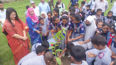 টাঙ্গাইল স্কুল