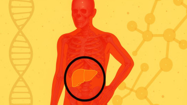 ফ্যাটি লিভার