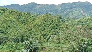 naikhongchhari_26jul25.jpg