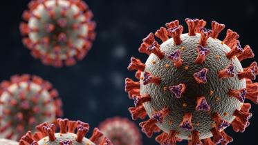 influenza_virus.jpg